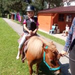 phoca_thumb_m_ponk 45 Fotogalerie